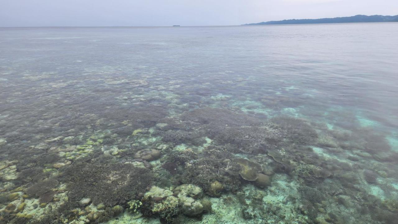 Terimakasih Homestay Pulau Mansuar Exteriér fotografie