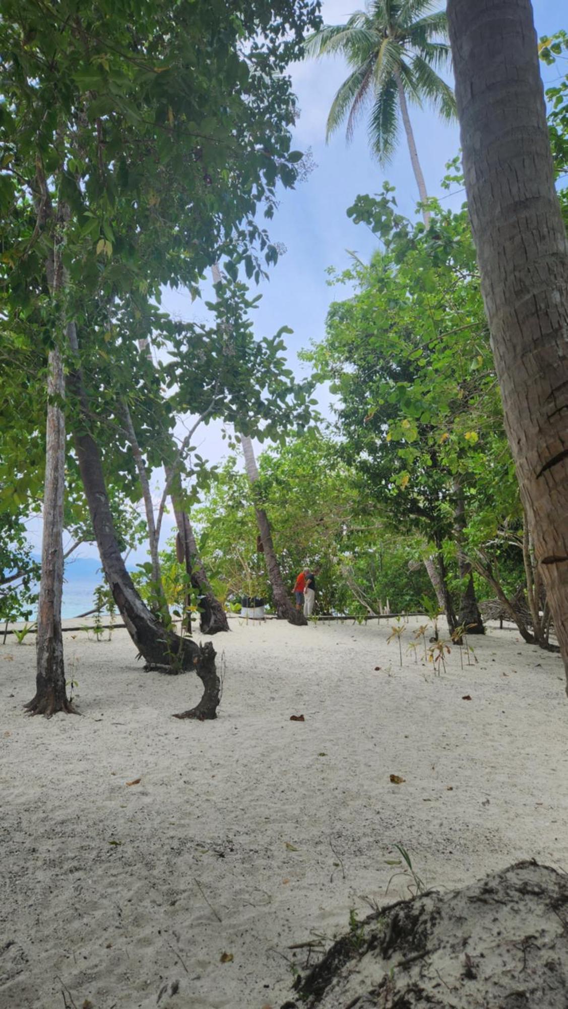 Terimakasih Homestay Pulau Mansuar Exteriér fotografie